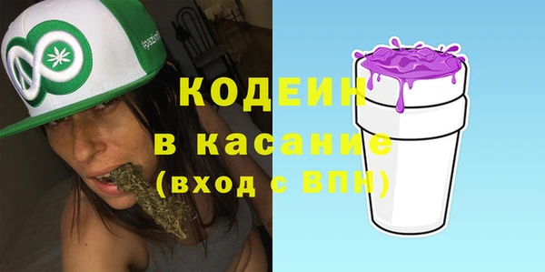 сатива Арсеньев