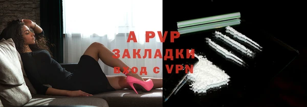 сатива Арсеньев