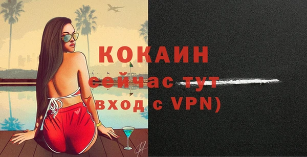 сатива Арсеньев
