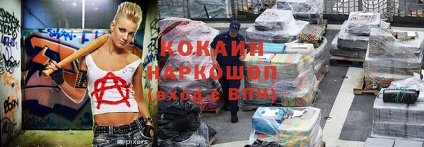 твердый Аркадак