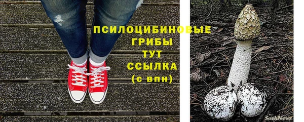твердый Аркадак