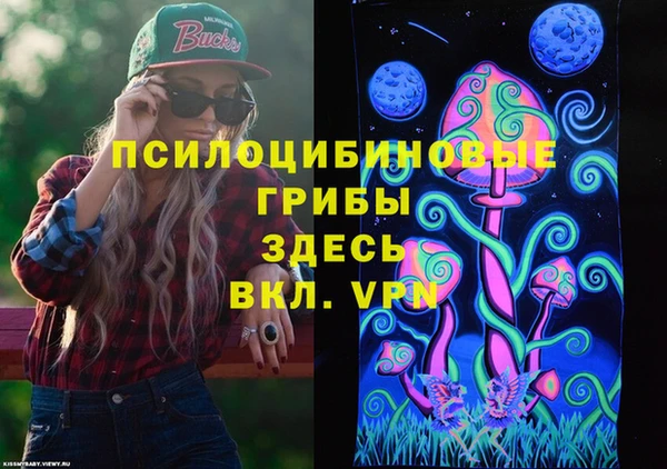 твердый Аркадак
