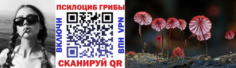 MEGA маркетплейс  Няндома  Псилоцибиновые грибы Cubensis  закладка 
