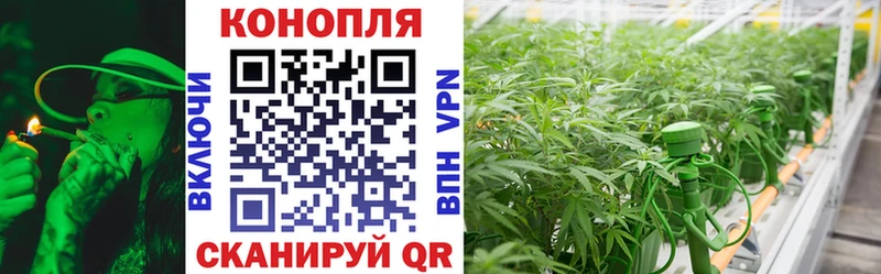 Шишки марихуана SATIVA & INDICA  Няндома 
